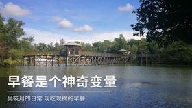 桃花侠守卫战